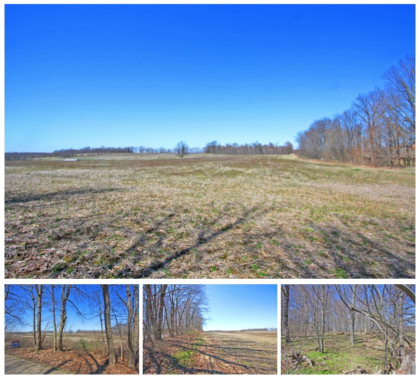 Knox County Ohio Land For Sale with 29 Acres on Divan Road Mount